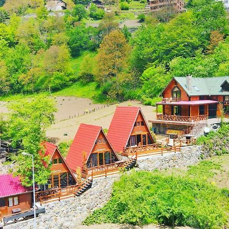 The Wooden House Uzungoel ウズンギョル エクステリア 写真