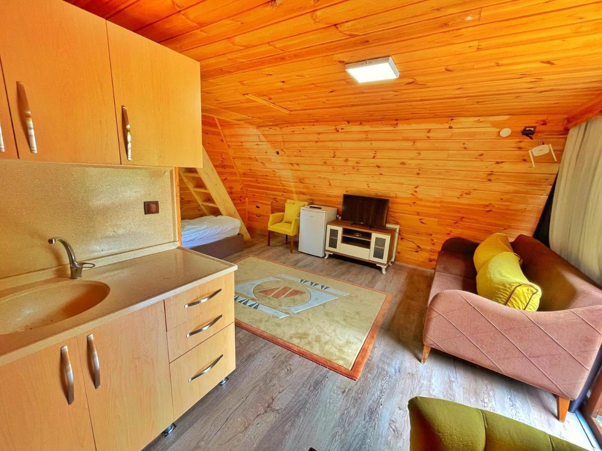 The Wooden House Uzungoel ウズンギョル エクステリア 写真