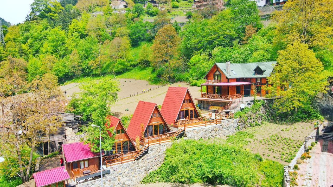 The Wooden House Uzungoel ウズンギョル エクステリア 写真