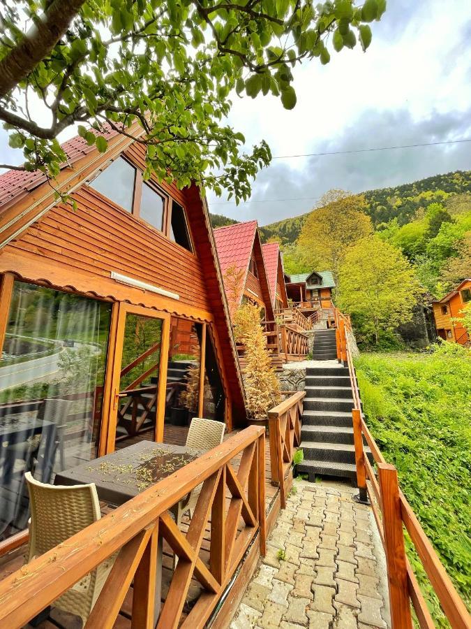 The Wooden House Uzungoel ウズンギョル エクステリア 写真