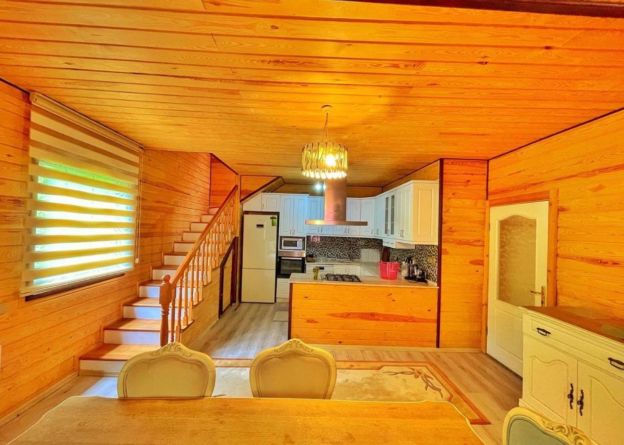 The Wooden House Uzungoel ウズンギョル エクステリア 写真