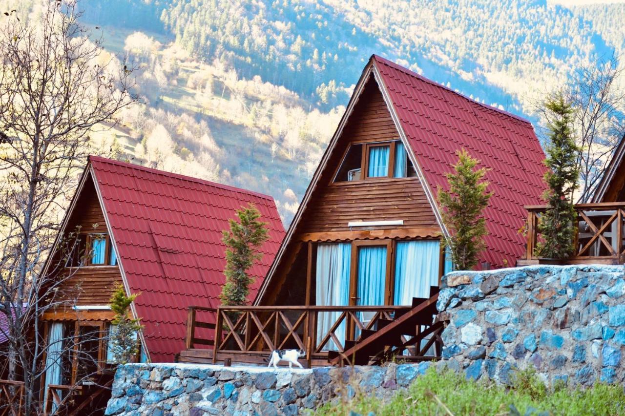 The Wooden House Uzungoel ウズンギョル エクステリア 写真
